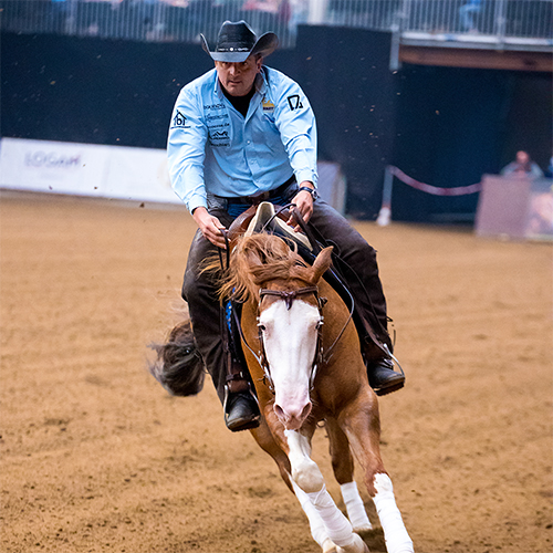 Cowboy reitet dynamisch auf Pferd in Arena.